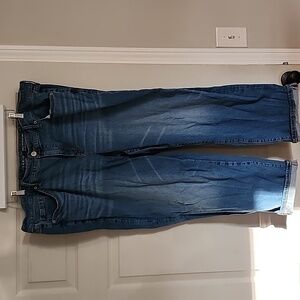 Torrid Jeans- Perfect Boyfriend Ankle Vintage Stretch